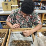 A young man in glasses and a floral shirt sorts small stones and pottery fragments in a wooden tray lined with newspaper.